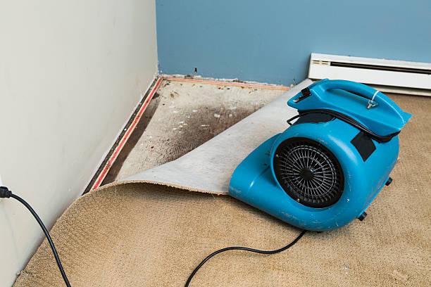 Best Water damage contractors near me  in Fulton, KY